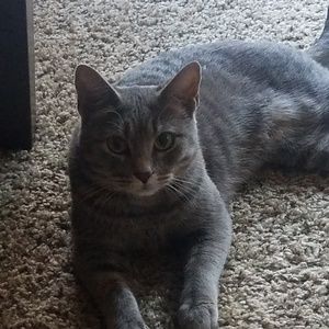 Meet your Posher, Todd